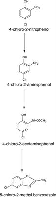 Bacilli-Mediated Degradation of Xenobiotic Compounds and Heavy Metals